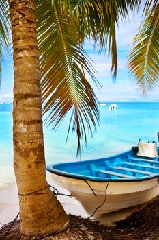 Coconut palm tree and a boat in Saona island, Dominican Republic