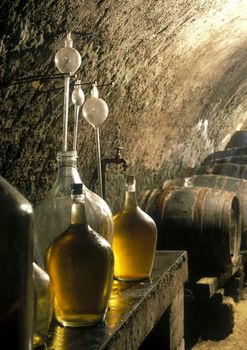 wine cellar, Vrba winery, Czech Republic