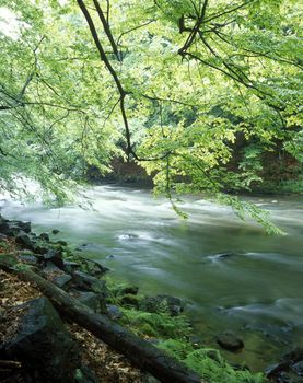 the Metuje river, Czech Republic