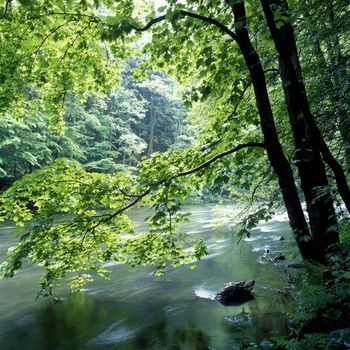 the Metuje river, Czech Republic