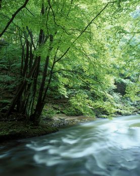 the Metuje river, Czech Republic