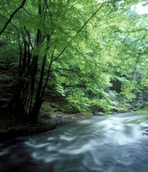 the Metuje river, Czech Republic