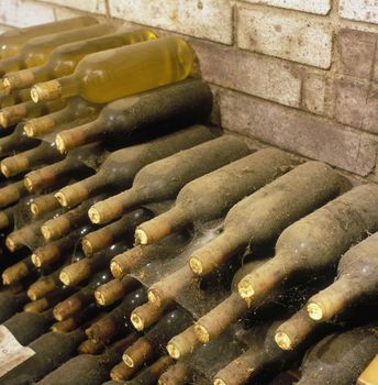 Frantisek Polehna winery, wine cellar, Blatnice pod svatym Antoninkem, Czech Republic