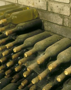 Frantisek Polehna winery, wine cellar, Blatnice pod svatym Antoninkem, Czech Republic