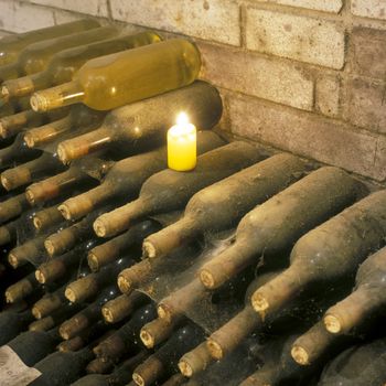 Frantisek Polehna winery, wine cellar, Blatnice pod svatym Antoninkem, Czech Republic