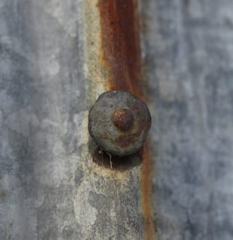 an old nail holding up a piece of sheet metal