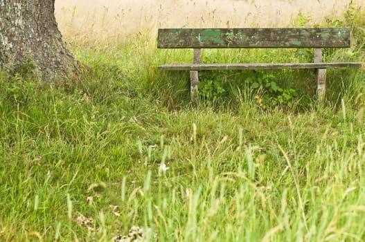 park bench idyll