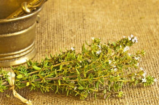 thyme