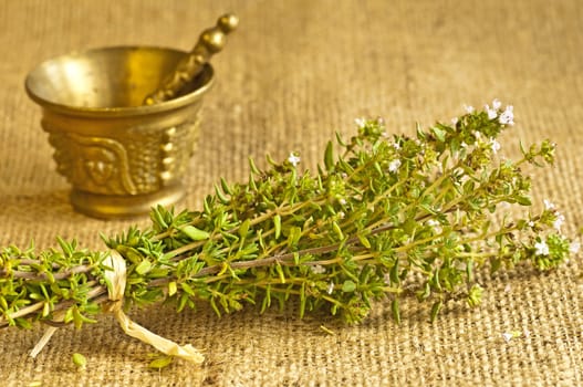 thyme