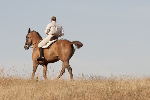 practicing with his horse rider dressage in nature
