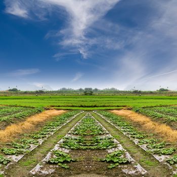 Landscape of green farm under the blue sky.