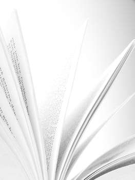 open book on white background