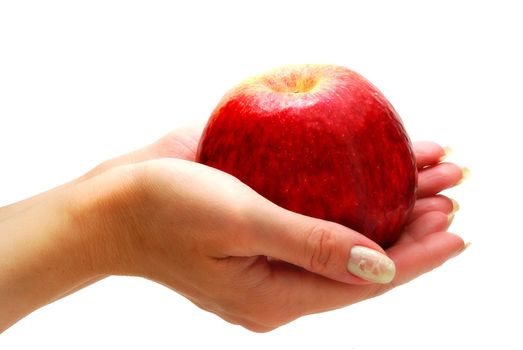 Female Hands Holding Apple Isolated on White Background