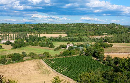 Landscape of Provence in South of France with olive trees