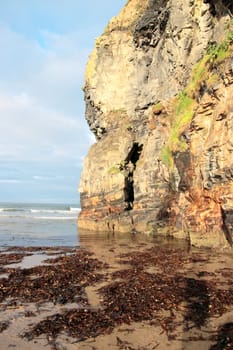 a view of the beach cliffs in ballybunion co kerry ireland with abundance of seaweed after a storm
