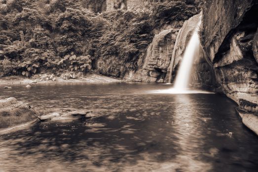 Jungle and waterfall with river in the wild.