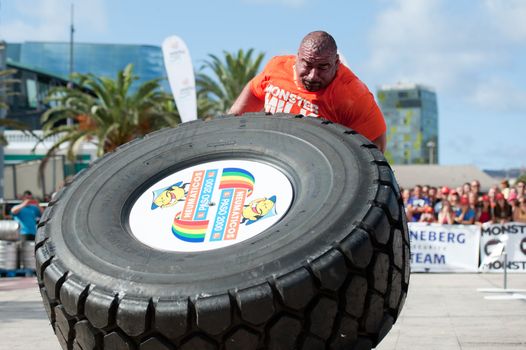 CANARY ISLANDS - SEPTEMBER 03: Ervin Katona from Serbia lifting and rolling a wheel (weights 400kg) 8 times during Strongman Champions League in Las Palmas September 03, 2011 in Canary Islands, Spain
