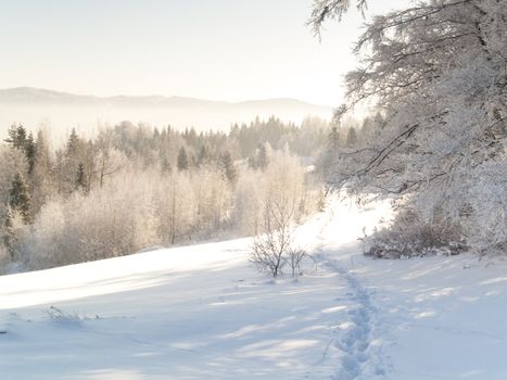 Winter time. White snow in mountain. Foot path.