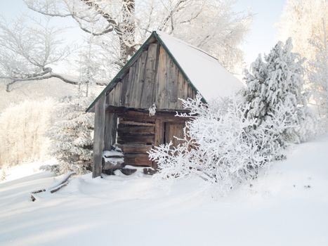 Old wooden small cottage under snow. Winter time.