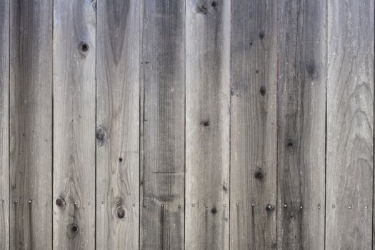 Closeup Detail of a Backyard Wooden Fence