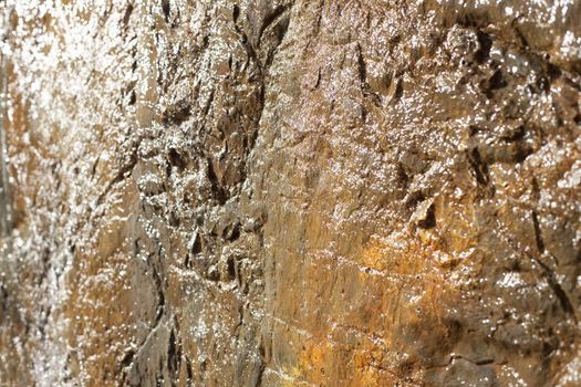 Closeup of a Shiny and Wet Brown Rock Wall