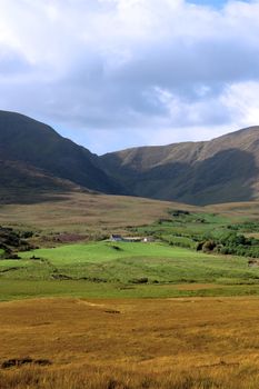scenic view in kerry ireland of rural farm with sheep dotted in the irish countryside