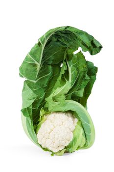 Head of cauliflower with green leaf on white background