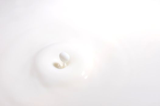 drop of milk splashes into fresh milk