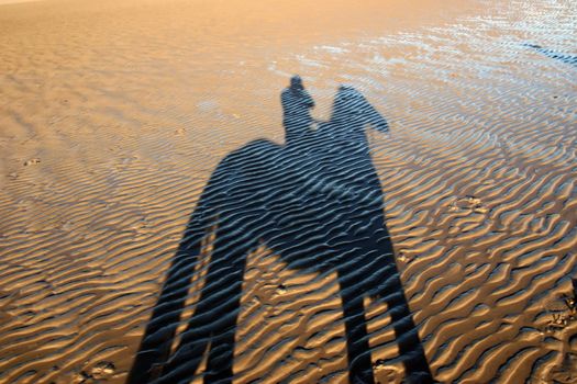 a shadow of a pony and rider on a beautiful sandy beach in county kerry ireland