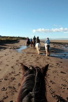 a riders view of a pony ride on a beautiful beach in county kerry ireland