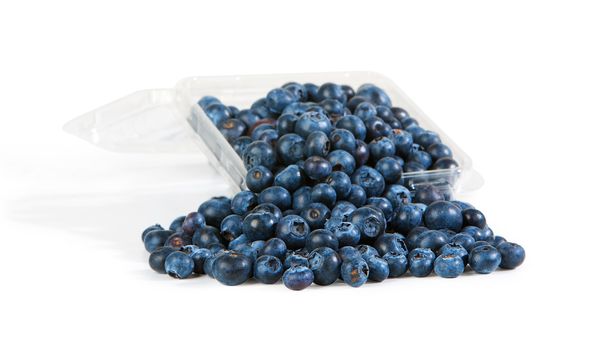 Plastic container overflowing with abundant fresh blueberries