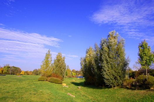 summer in the park with green trees and grass under blue sky