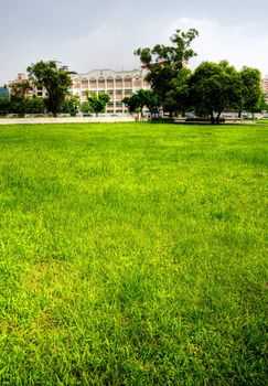 Apartment in outdoor with beautiful grassland in the park.