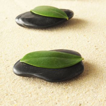 zen garden with black stones or roch and green leaves