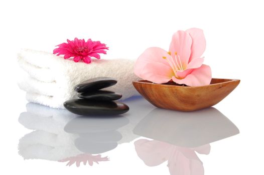 spa zen and wellness concept isolated on white background