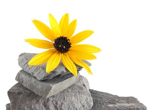 A tower made of stones isolated on a white background.