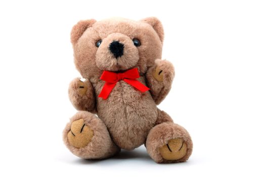 toy teddy bear isolated on white background