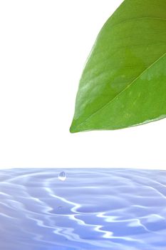 leaf and water drop showing healthy lifestyle