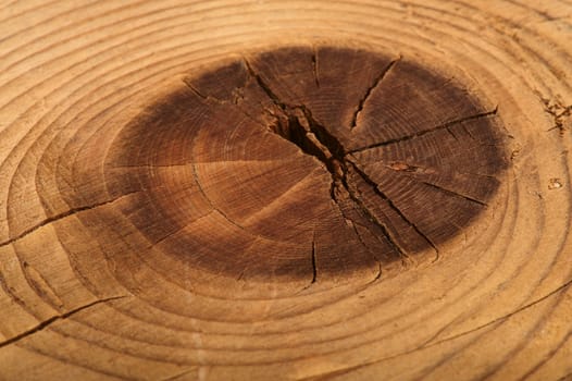 Structure of a wooden board with snag. A close up