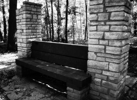 an old bench aside a trail in a forest preserve