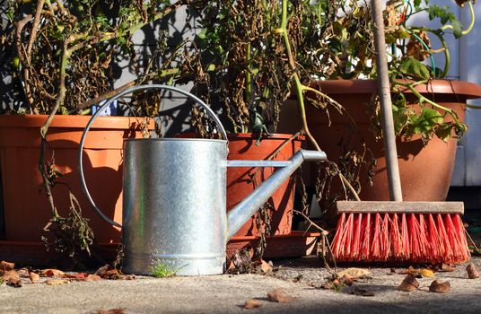 garden still life with tomatoe plants, ewer and broom in late summer