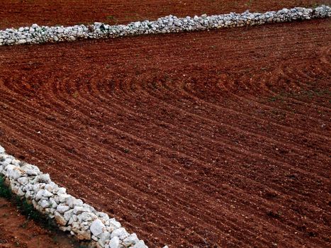 Agriculture imagery. Rich soil and crops in the Mediterranean.