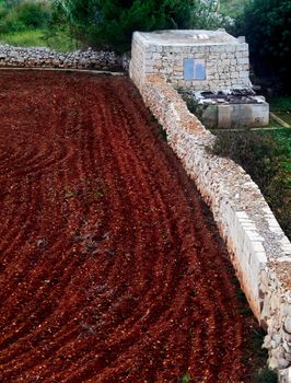 Agriculture imagery. Rich soil and crops in the Mediterranean.