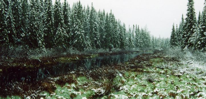 Winter creek seen during a late spring storm