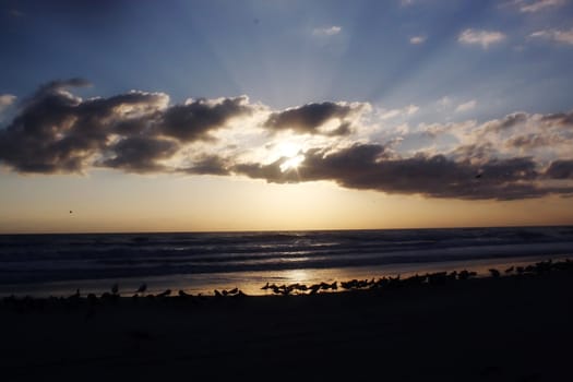 the sun rises over the beautiful atlantic ocean in daytona beach florida