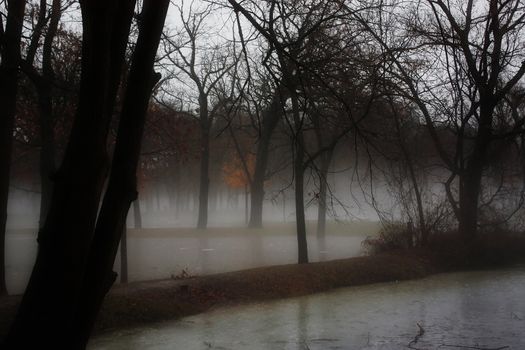 fog hovers over a park on a cool afternoon