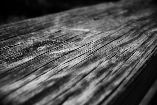 a black and white close up photograph of a slab of wood, with grain details