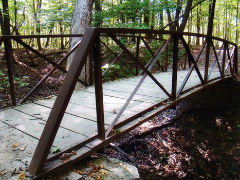 a hiking trail in the woods, with a bridge going over a small stream