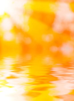 Beautiful golden leaves in autumn with reflection