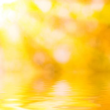 Beautiful golden leaves in autumn with reflection